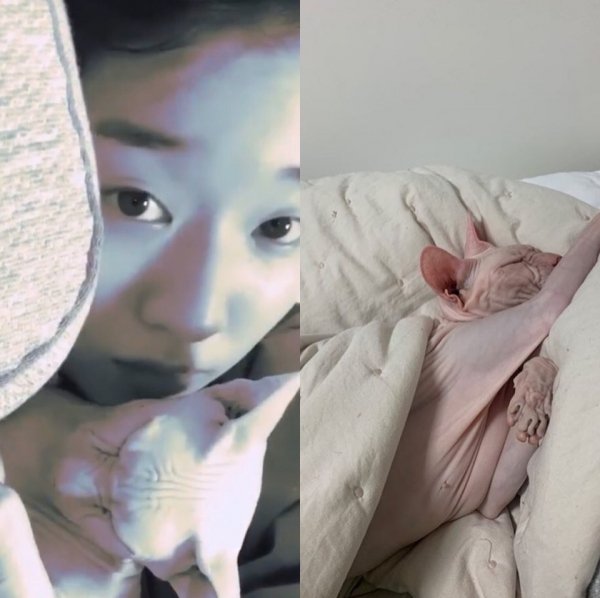 김선아와 고블린 (사진 : 김선아 인스타그램)