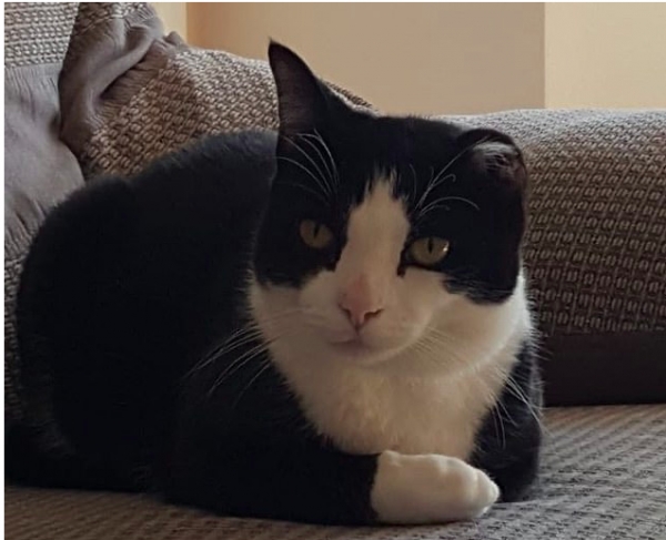 men media 현재모습