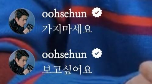 수호 인스타라이브 세훈의 댓글