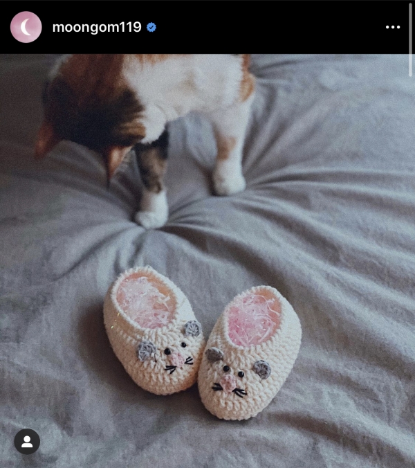 /인스타그램 @moongom119