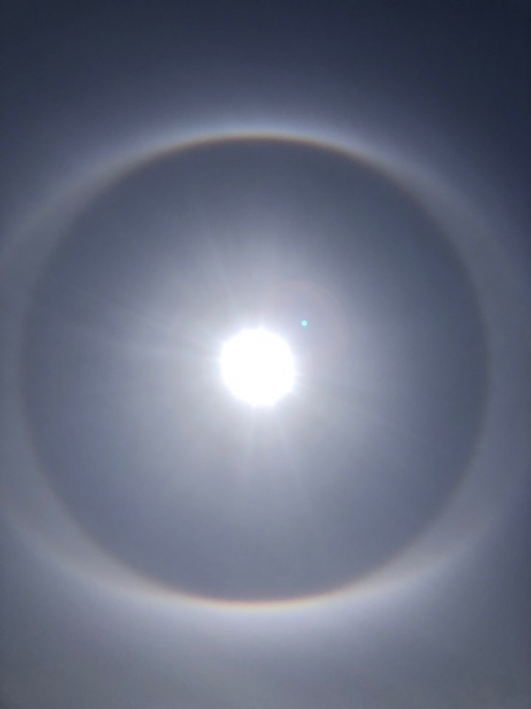 직접 촬영한 사진/장소=강원도 강촌