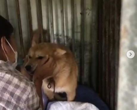 사진=이효리 인스타그램