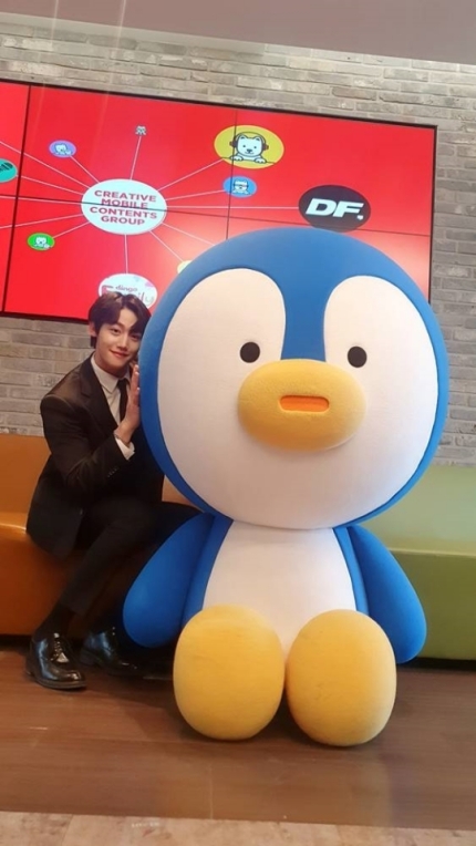 [사진제공= Dingo딩고]