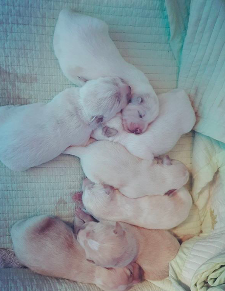 최여진 인스타그램