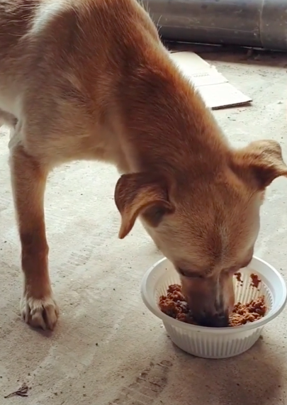 최여진 인스타그램