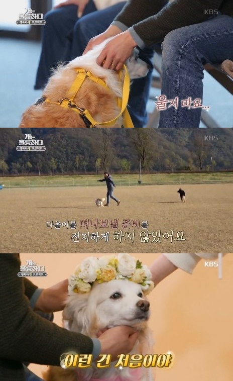 KBS 2TV '개는 훌륭하다' 캡처
