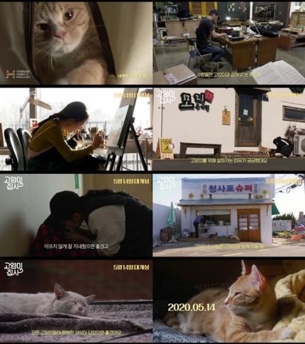 영화 '고양이 집사' 메인 예고편