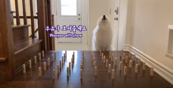 MochaMilk 영상캡처