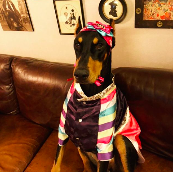 배정남 인스타그램