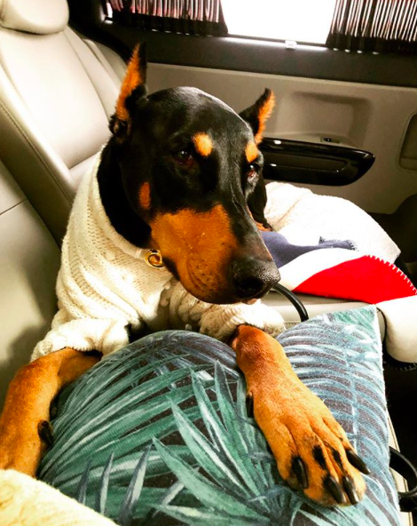 배정남 인스타그램