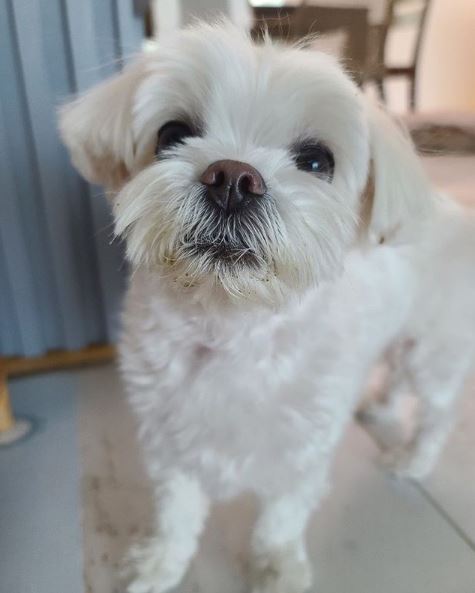 김소현 인스타그램