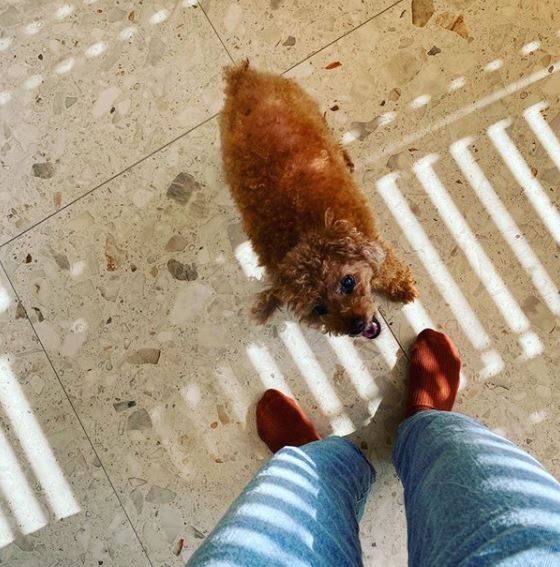 올해 18살이 된 토토