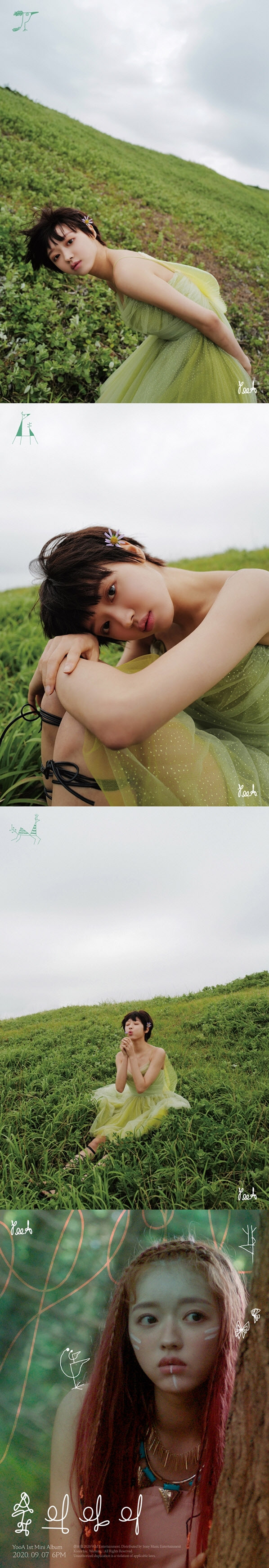 [사진 제공 = WM엔터테인먼트]