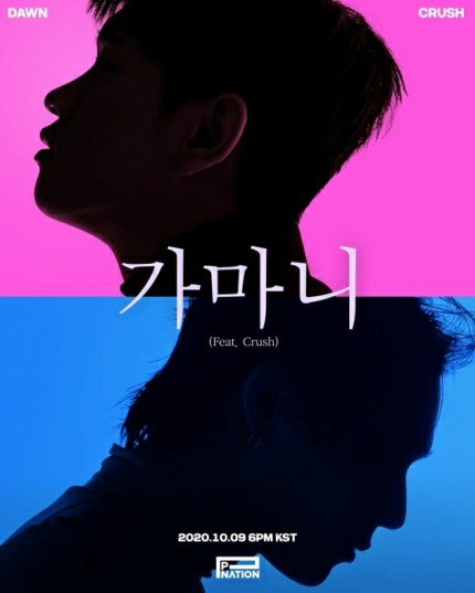 사진=피네이션 제공