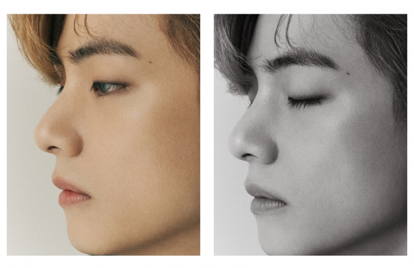 [사진 제공 = 방탄소년단 SNS]