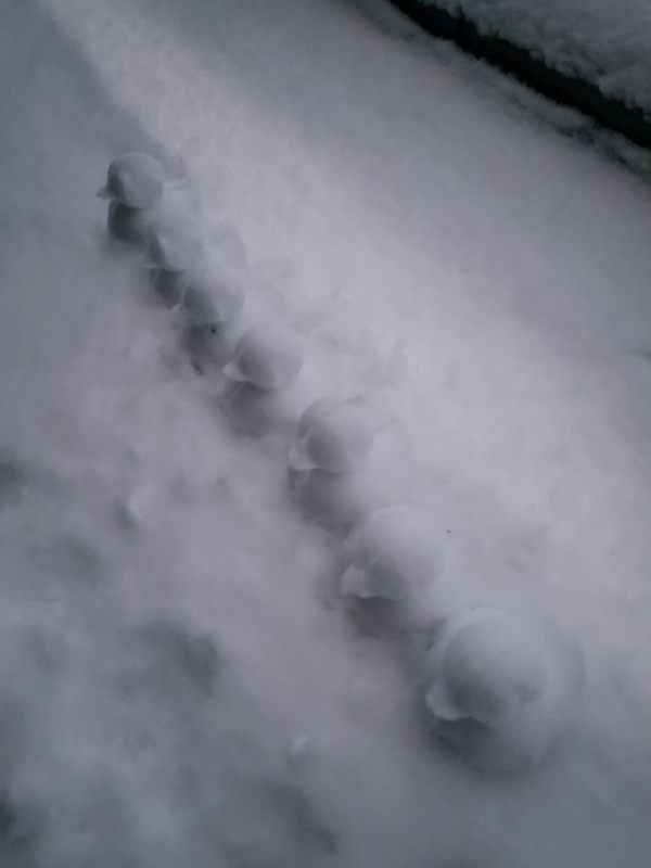 방탄소년단 공식 트위터