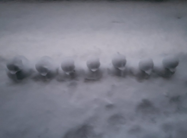 방탄소년단 공식 트위터