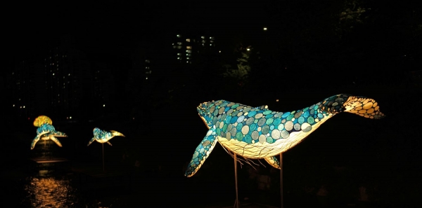 2021 노원달빛산책