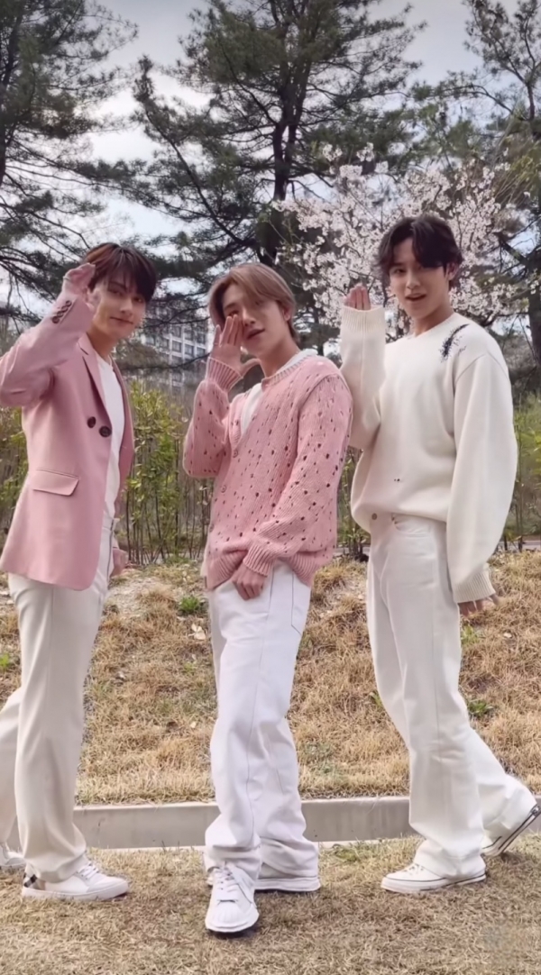 세븐틴 공식 인스타그램