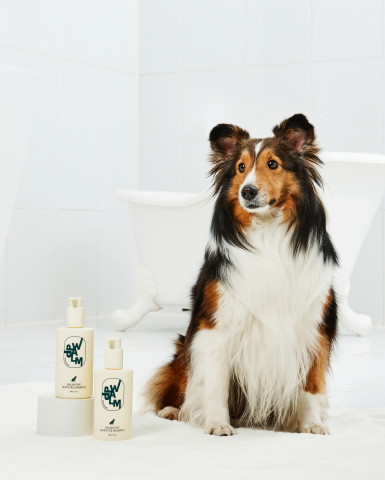 반려동물 라이프 케어 브랜드 ‘포앤팜’이 11월 13일부터 15일까지 반려동물 콘텐츠 유튜버와 함께 앙코르 할인 기획전을 진행한다(사진: 네오팜)