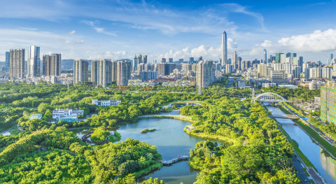 푸티엔(福田) 맹그로브 숲 생태공원 (사진제공: 선전시 문화광전관광체육국)