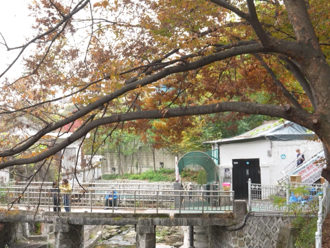 ‘나무가 흔들릴 때 마음이 찾아온다’ 영화 스틸 컷