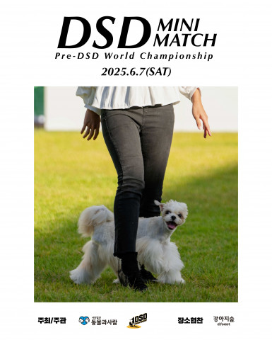 ‘DSD 미니 매치’ 포스터