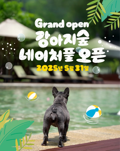 강아지숲이 강아지 동반 수영장 ‘네이처풀’을 오는 5월 31일 개장한다