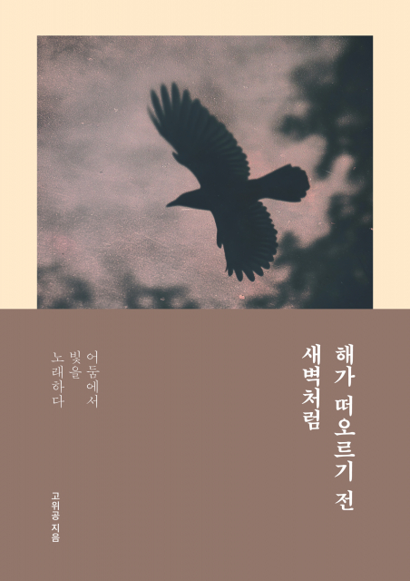 어둠 속에서 빛을 노래하는 신앙의 여정, 고위공 작가의 신작 ‘해가 떠오르기 전 새벽처럼’이 페스트북 추천 에세이로 선정됐다